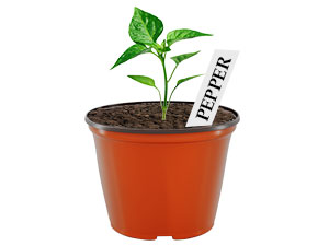nursery pots