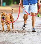 Joytale Double-Sided Reflective Dog Leash, 6 FT/5 FT/4 FT, Padded Handle Nylon Dogs Leashes for S...