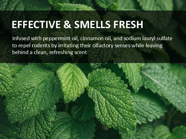 effective and smells fresh