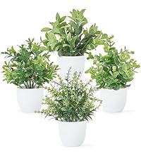 https://m.media-amazon.com/images/I/51flG4itS0L.__AC_SR200,225___.jpg