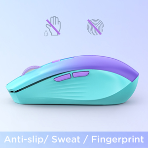 RAPIQUE R110 Bluetooth Mouse ??