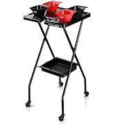 AW Folding Salon Tray on Wheels w/Drawer Beauty Barber Shop Hair Stylist