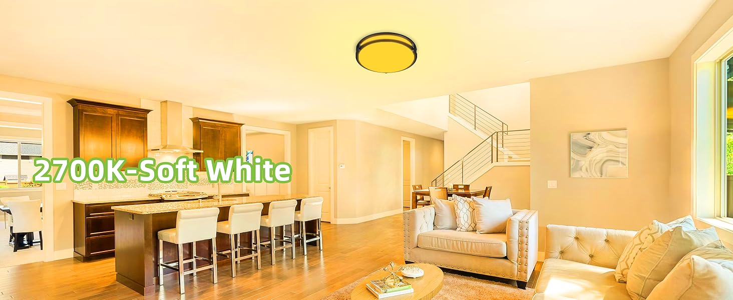 Flush Mount LED Ceiling Light Fixture