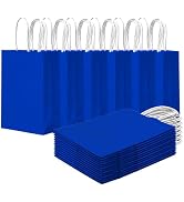 qiqee 24PCS Small Gift Bag with Handles Bulk 8.3