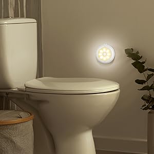 toilet light