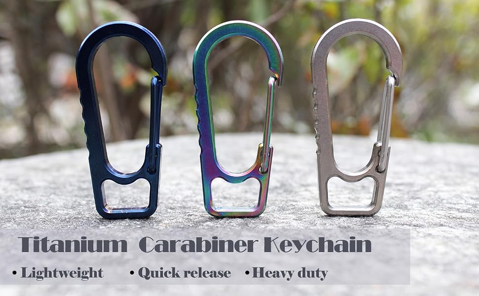 small carabiner keychain