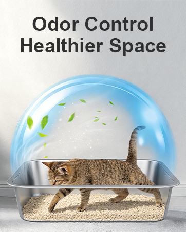 Cat litter box