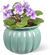 BUYMAX African Violet Pots, 6 inch Pumpkin-Style Ceramic Easy Self Watering Plant Pot for Busy Pl...