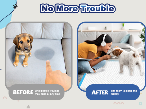 dog training pads