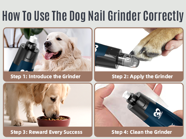 Correct Usage Steps