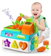 Musical Montessori Toys for 1,2 Year Old Girl Boy Gifts, Shape Sorting Toys for Toddler 1-3 Age, ...