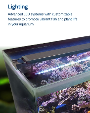 Fluval_Module_6