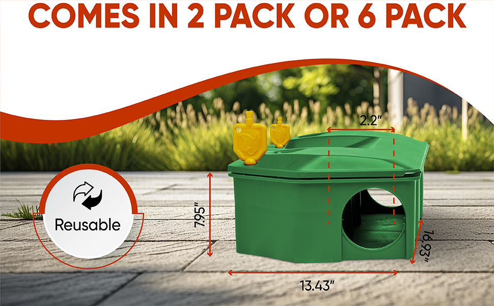 2 or 6 pack