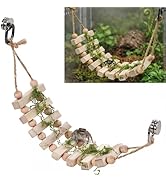 Lanxitown Jumping Spider Enclosure Accessories Magnetic Jumping Spider Rope Bridge with Artificia...
