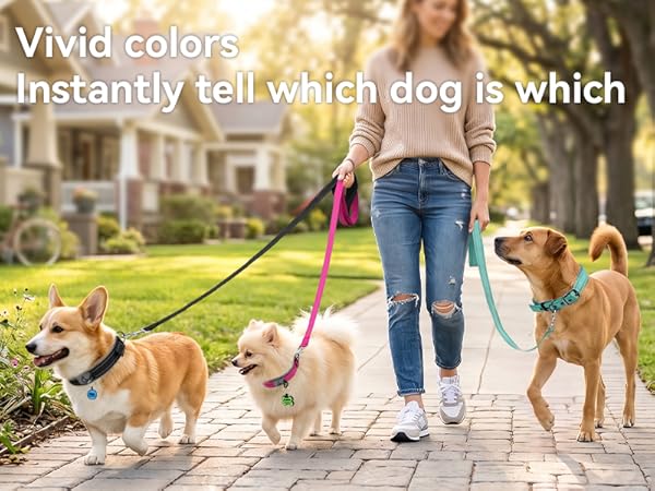 dog collar