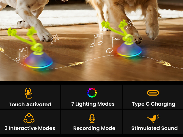 interactive dog toy