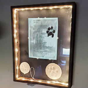 battery operated light strip