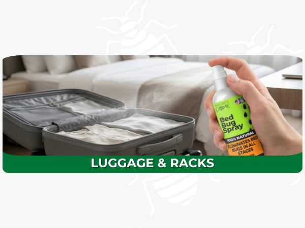 Spray for luggage to prevent bed bugs