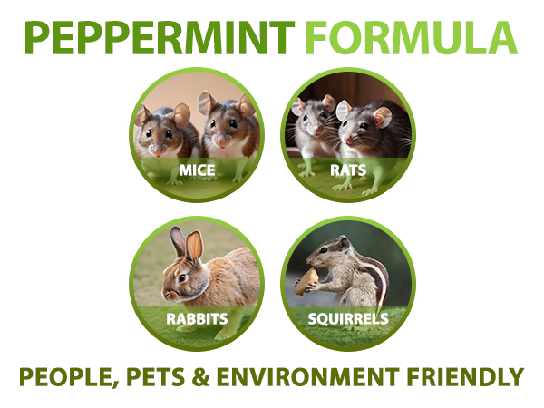 peppermint spray for mice