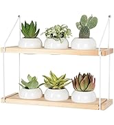 J JACKCUBE DESIGN 2 Tier Wooden Hanging Planter Set of 6 Pots, Wall Plant Hangers with Metal Fram...