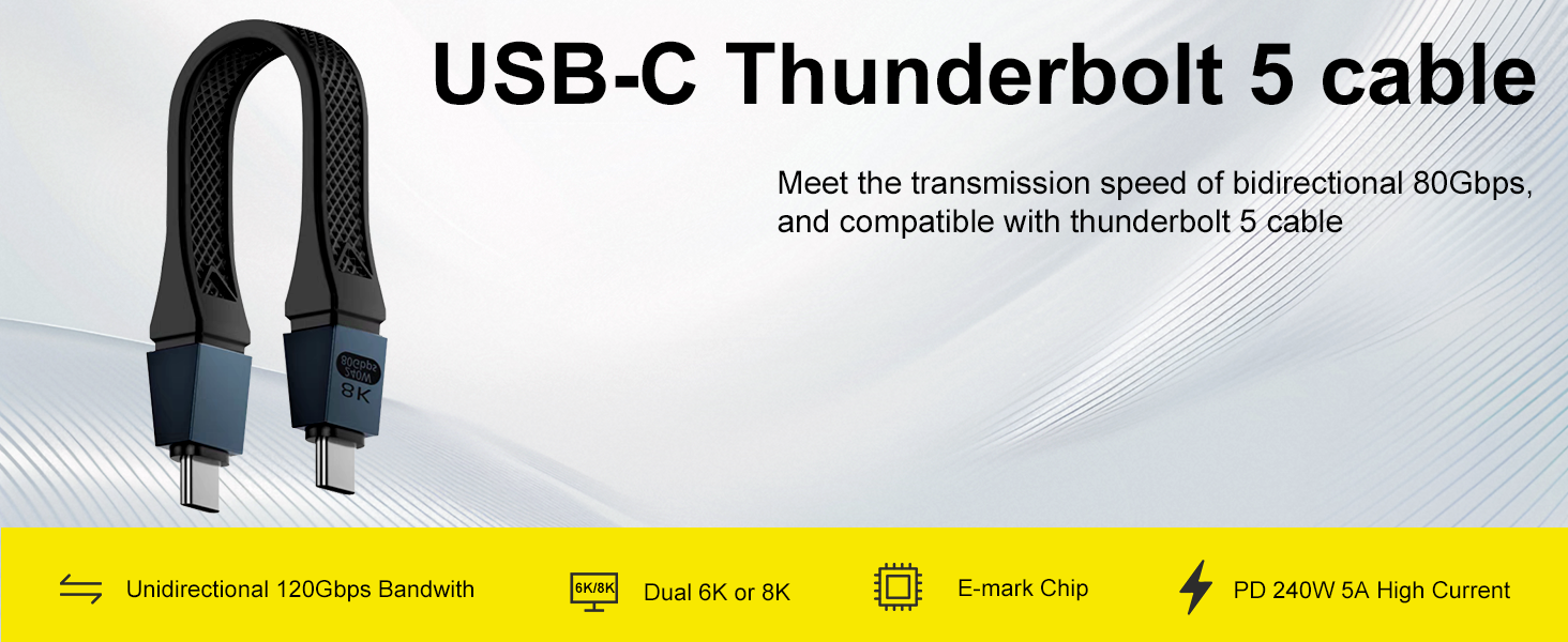 short usb c cable 5 inch