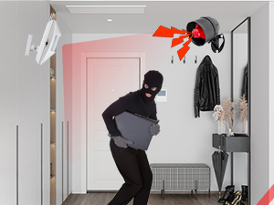 WiFi alarm with PIR infrared detector