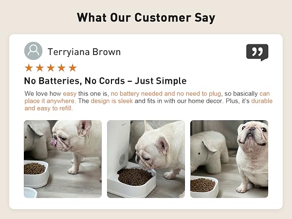 dog feeder