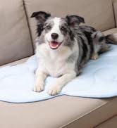 BECEMURU Dog Cooling Mat - 36" x 23" Reversible Cooling Pad for Crate, Kennel, Bed, Sofa - Machin...