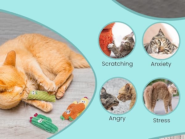 cat toys for indoor cats cat toy catnip cat toys interactive cat nip kitten toys cat nip for cats