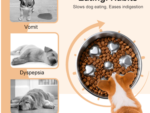 Stainless Steel Slow Feeder Dog Bowls