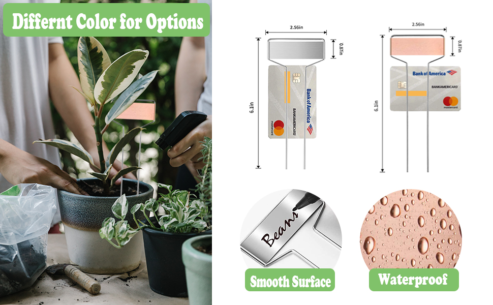 plant markers
