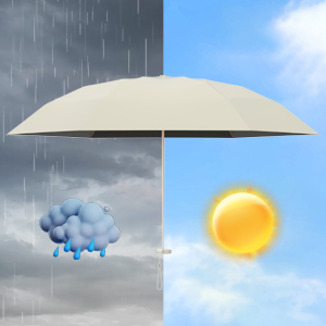 Rain Umbrella & Sun Umbrella