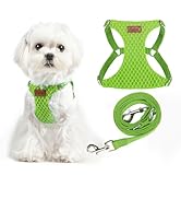 PUPTECK Dog Harness and Leash Set Small Sized, Step-in Cute Puppy Harness, Soft Lightweight Padde...