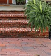 Red brick paver walkway or patio with terra cotta steps and a decorative fern plant in the corner.