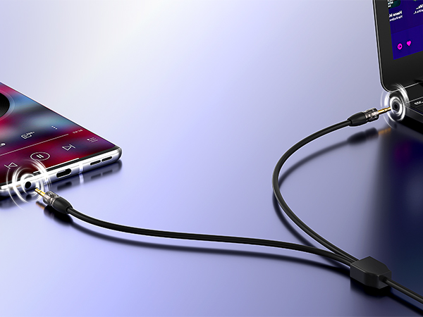 aux splitter 1 in 2 out