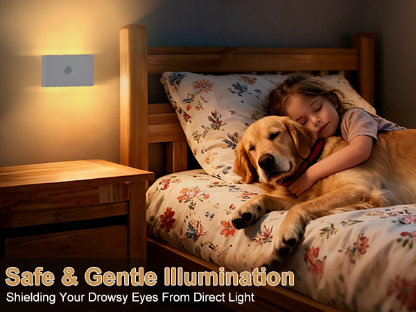 LED Night Lights