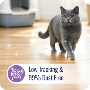 Low Tracking & 99% Dust Free