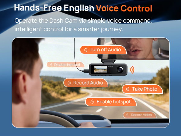 Voice control