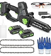 GALAX PRO Cordless Mini Chainsaw 8 Inch with Auto Oiler, Battery Chainsaw with 2x2.0Amh Batteries