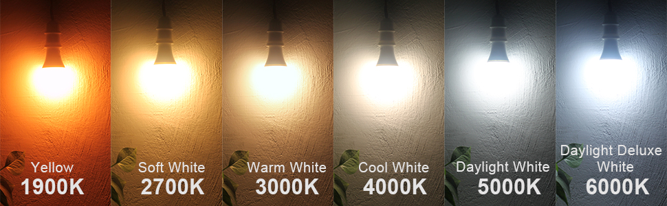 QUALILUX Dusk to Dawn Light Bulbs CCT A+