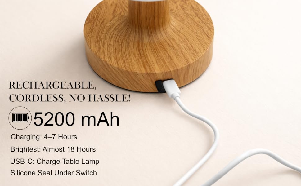 5200mAh Rechargeable Lamp