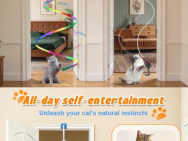 hanging cat toy
