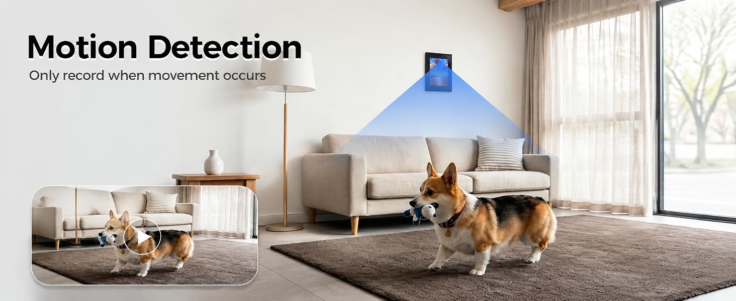 nanny hidden cam with Motion Detection