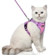 rabbitgoo Cat Harness and Leash Set, Escape Proof Soft Adjustable Vest Harnesses for Outdoor Walk...