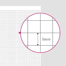 KOKUYO Campus Notebook, Business Type, Grid 5mm Ruled, Semi-B5, 40 Sheets, Black Cover (NO-4S5-D)