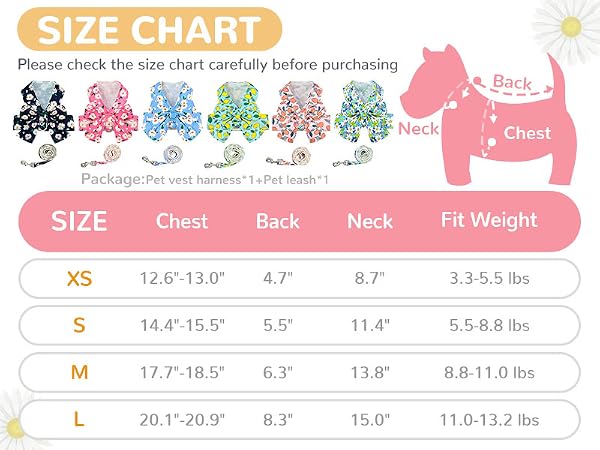 Pretty Dog Harness Leash Set