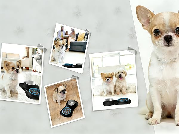 dog slow feeder