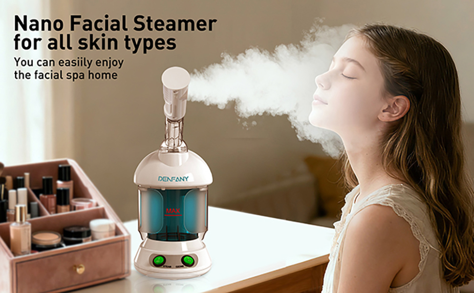 face steamer