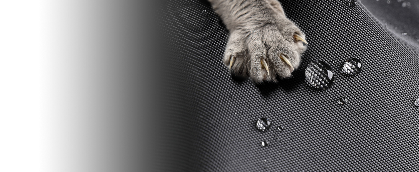 car seats for dogs