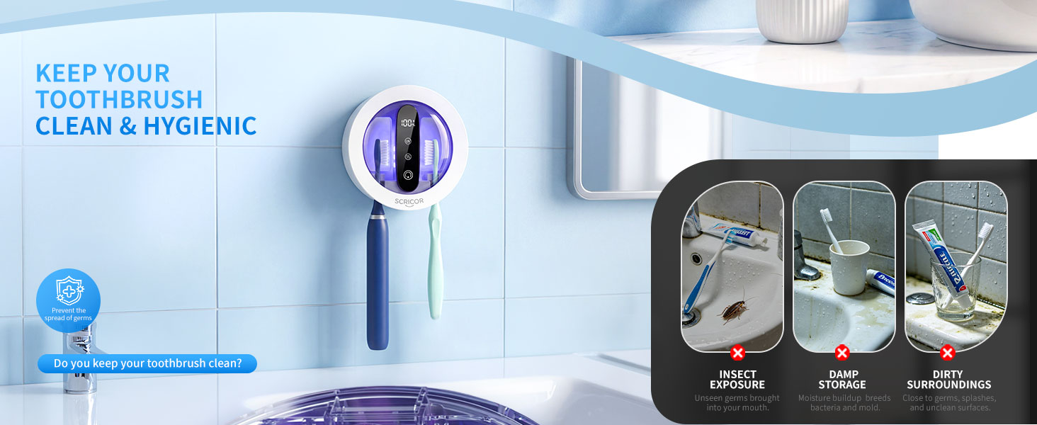 Toothbrush holder